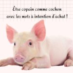 intention de recherche mots clés seo