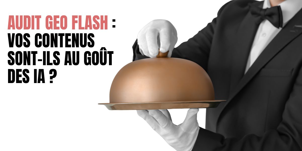audit geo ia flash