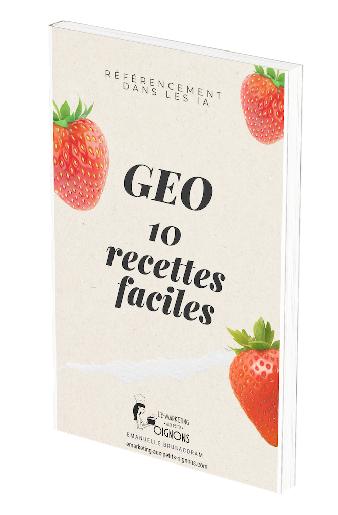 ebook geo référencement ia