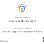 consultante certifiée-google ads lyon